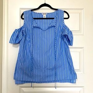 Blue and White Striped Blouse